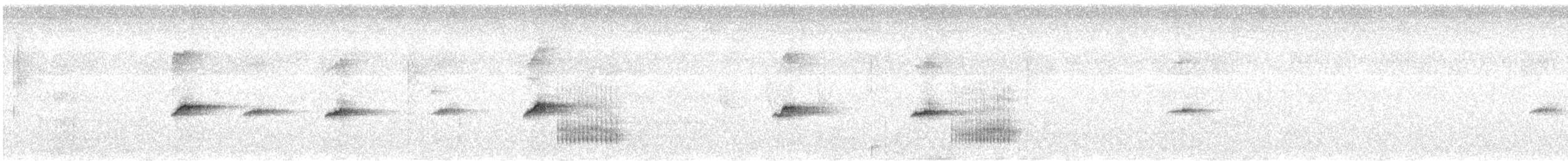 Urretxindor arrunta - ML639703643