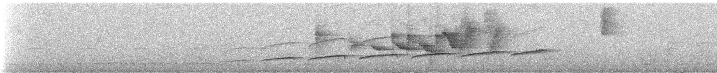 Common Scale-backed Antbird - ML639703739