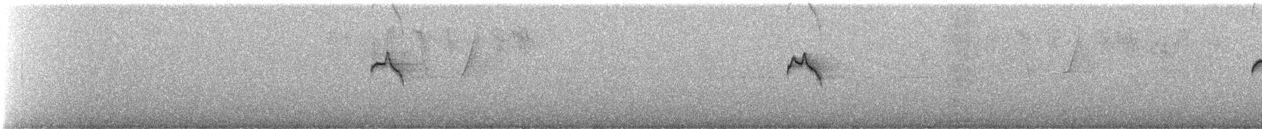ミナミヤブハエトリ - ML639704852