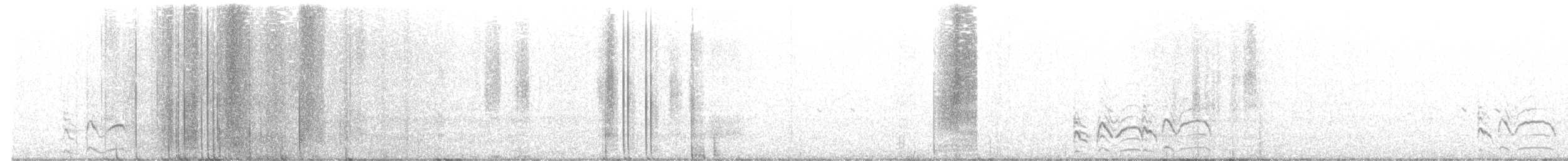 Namaqua Sandgrouse - ML639705487