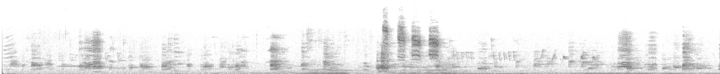 Ібіс молуцький - ML63970561