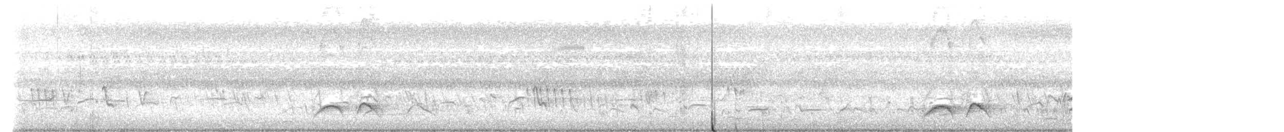 ornatpitta - ML639705806