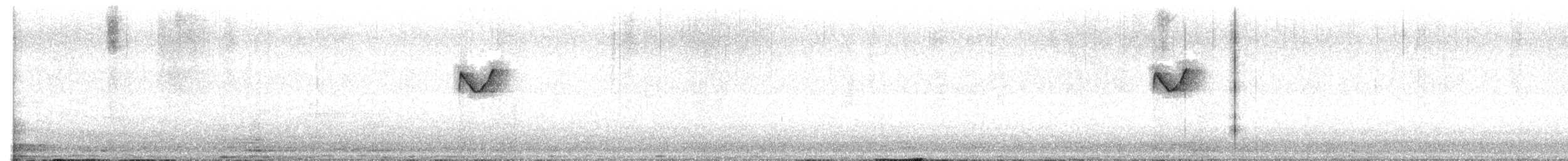 Txioa sp. - ML639707267