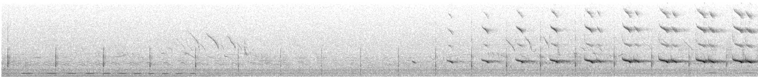 Red-crested Bustard - ML639707826