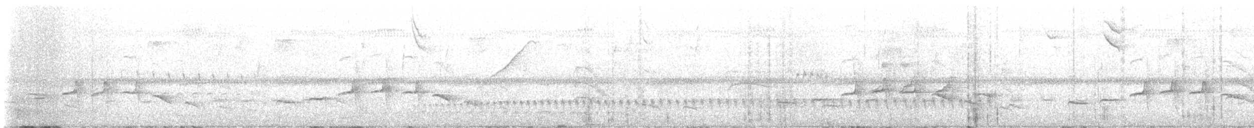 Amazonian Streaked-Antwren - ML639707891