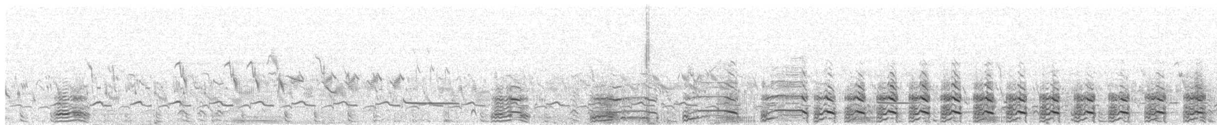 Mongolian Gull - ML639712405