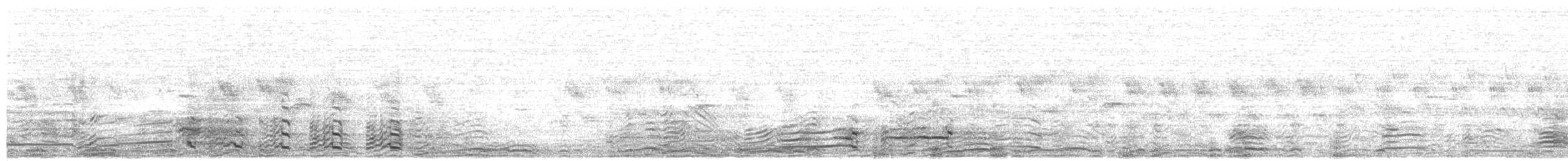 Mongolian Gull - ML639712829