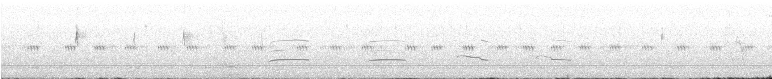 rapace sp. - ML639719019