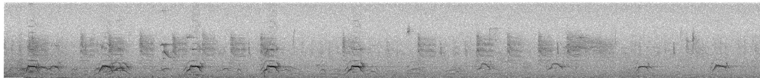 Elegant Quail - ML639719175