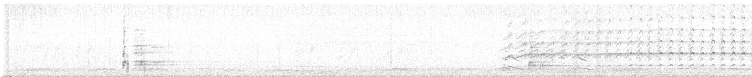 ハクトウワシ - ML639719190