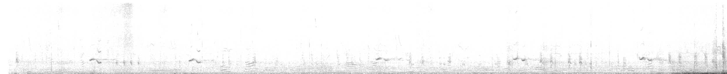 Chilean Mockingbird - ML639722449