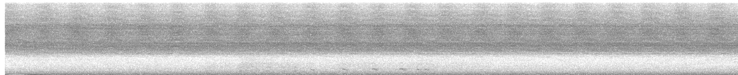 Western Screech-Owl - ML639722466