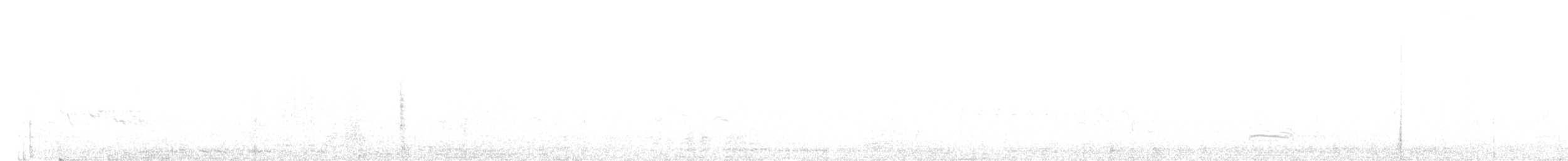 Cormorano - ML639723131