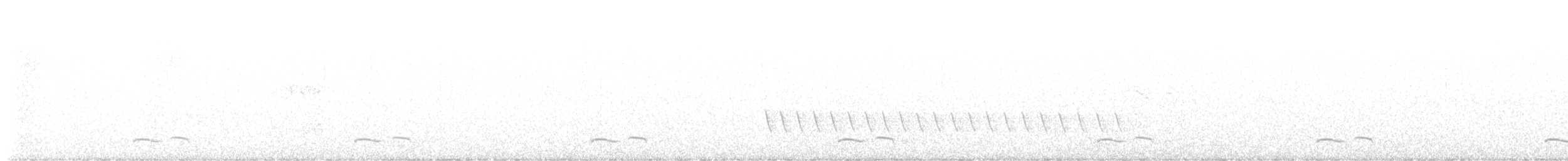 lelek americký - ML639726304