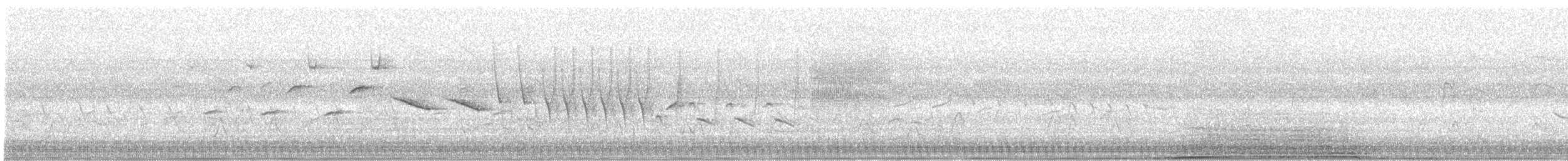 Morelet's Seedeater - ML639726751