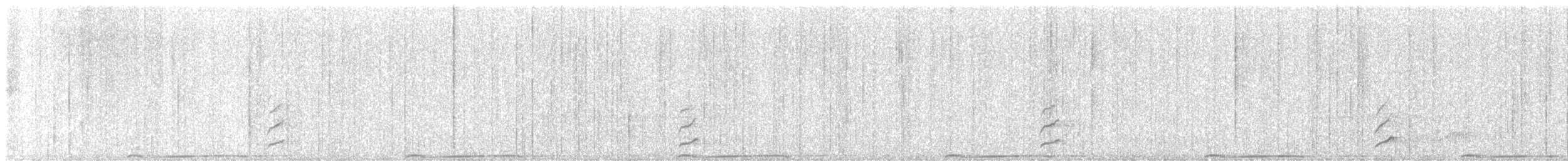 Band-tailed Pigeon - ML639727978