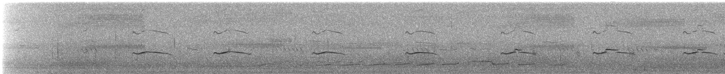 Black-tailed Gull - ML639728656