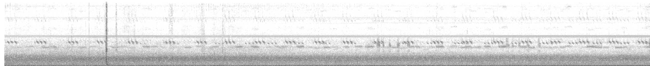 antillnatthauk - ML639730683