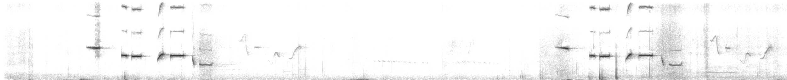 Western Bristlebird - ML639731614