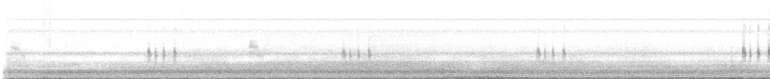 antillnatthauk - ML639734803