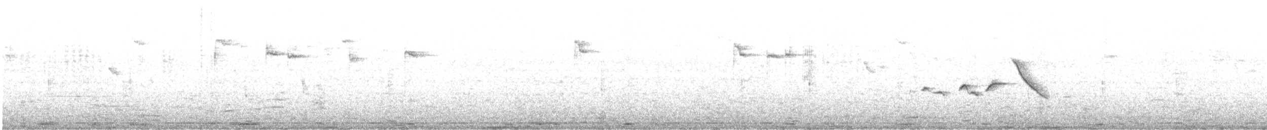 Green-backed Firecrown - ML639735542
