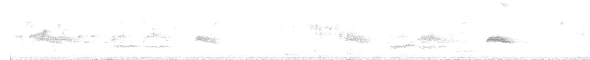 Pioui de l'Ouest - ML639738316