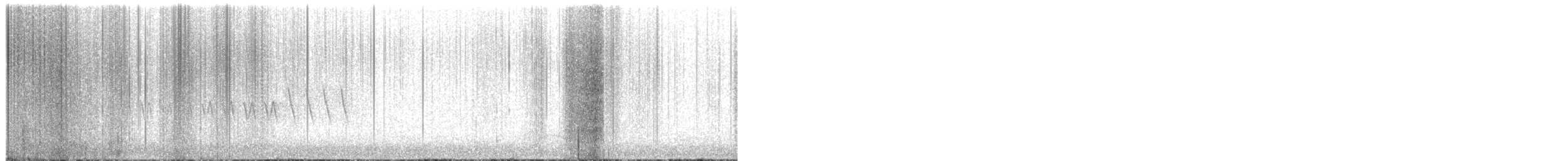 Grace's Warbler - ML639738550
