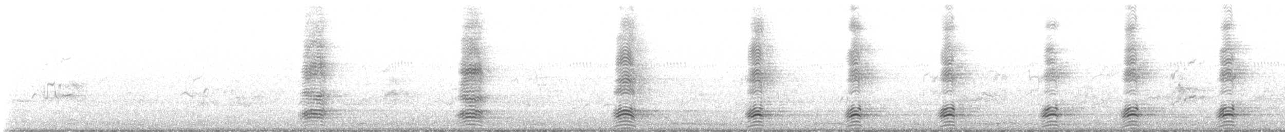 Torresian Crow - ML639740145