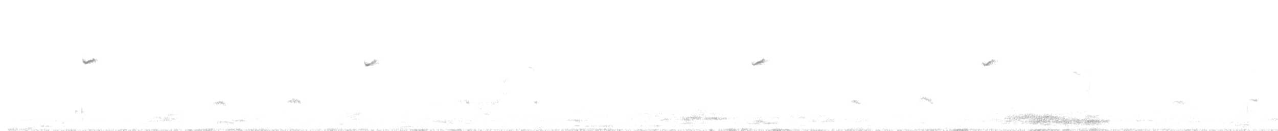 Western Flycatcher (Cordilleran) - ML639740263