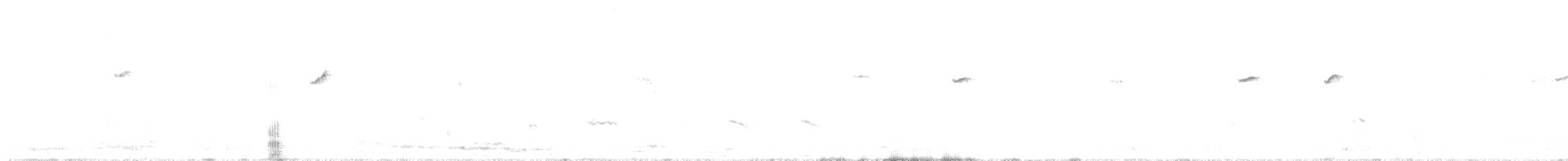 Western Flycatcher (Cordilleran) - ML639740265