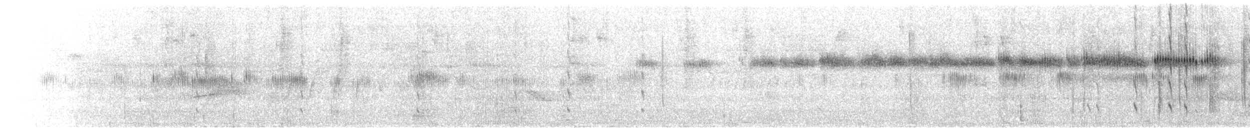 Broad-tailed Hummingbird - ML639742078