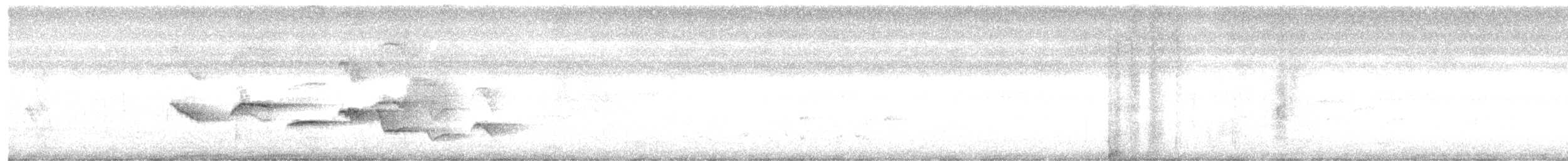 Oriental Magpie-Robin - ML639744092