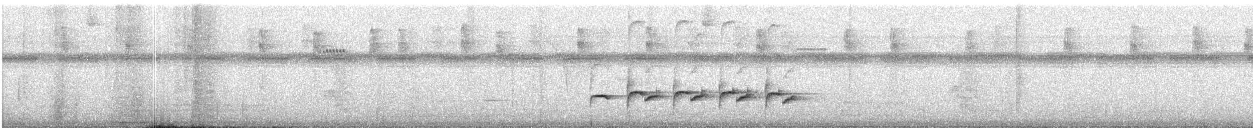 Willis's Antbird - ML639745034