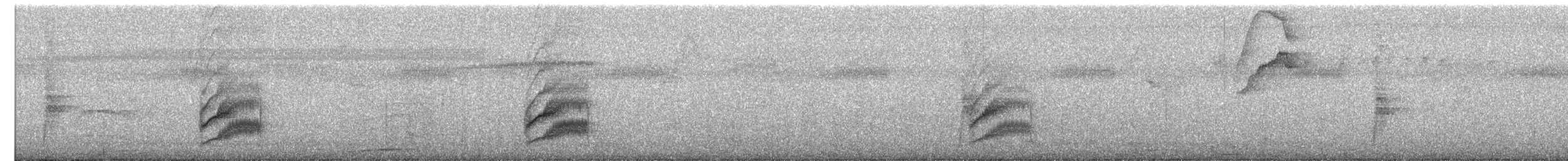 Tyran licteur - ML639745045