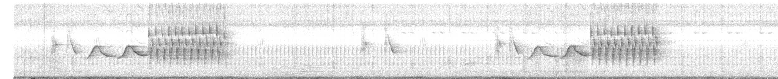 gråbrystprinia - ML639746316