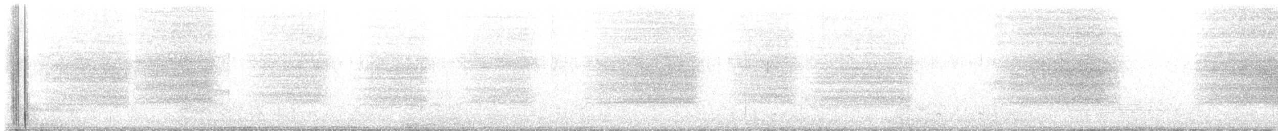 Western Barn Owl (Eurasian) - ML639747387