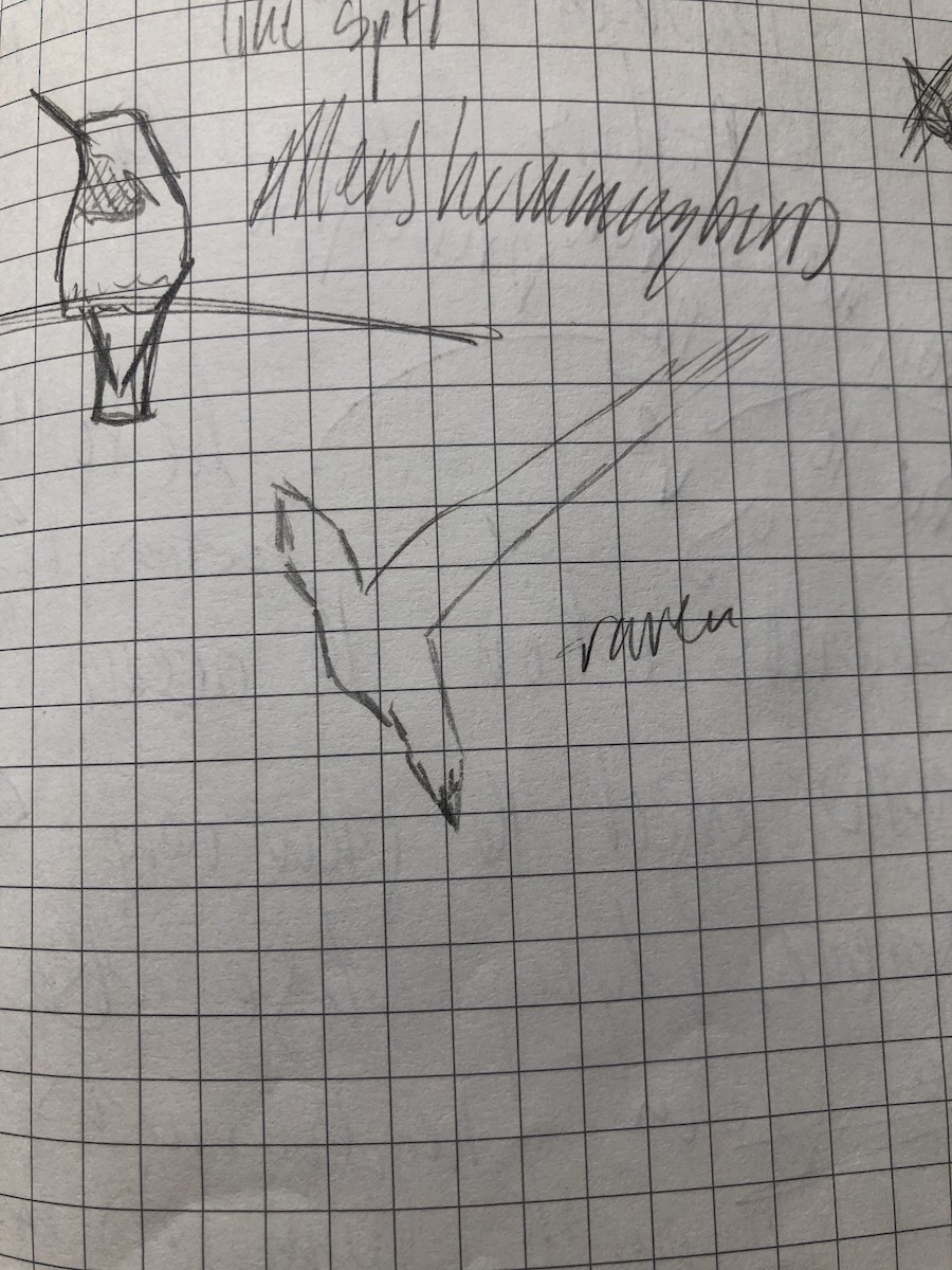 Хон хэрээ - ML639748719