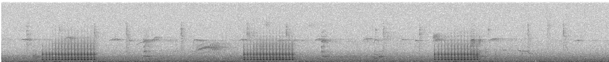 Цоохор тоншуул - ML639749546