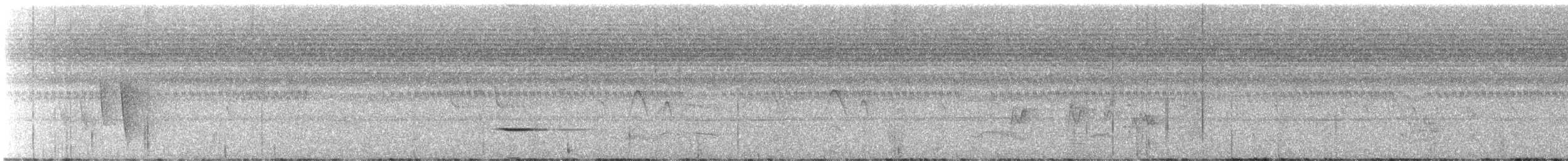 Maroon-breasted Philentoma - ML639750005