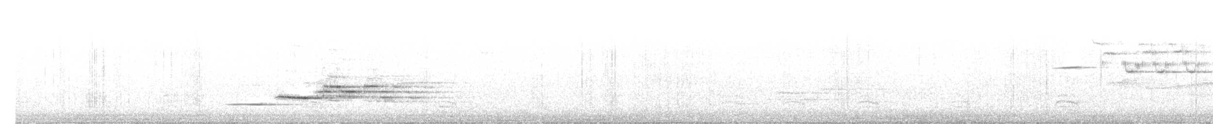 Hermit Thrush - ML639751905