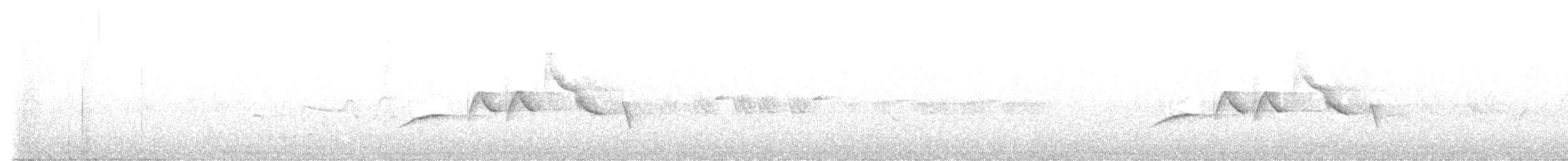 Bruant gris - ML639752322
