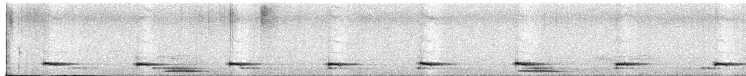 Blue-eared Barbet - ML639753394