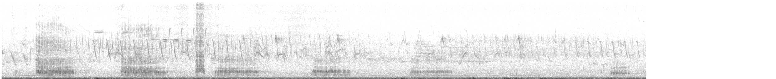 Koartza zuria - ML639753918