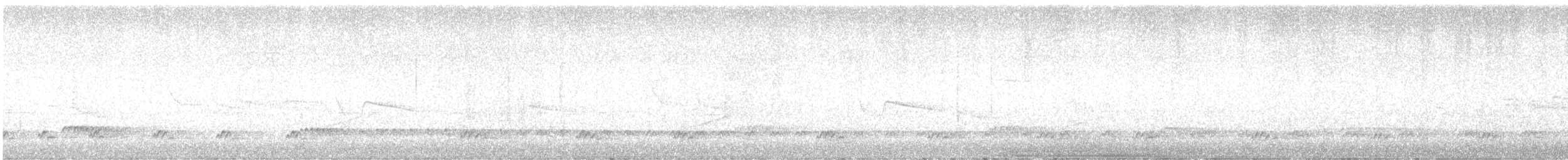 Lesser Ground-Cuckoo - ML639754716