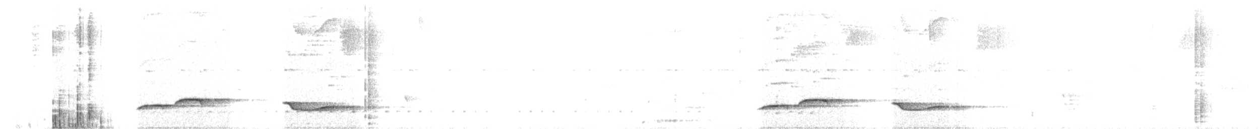 Hauxwell's Thrush - ML639755277