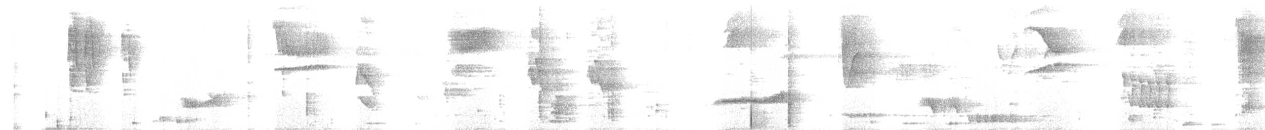 Hauxwell's Thrush - ML639755307