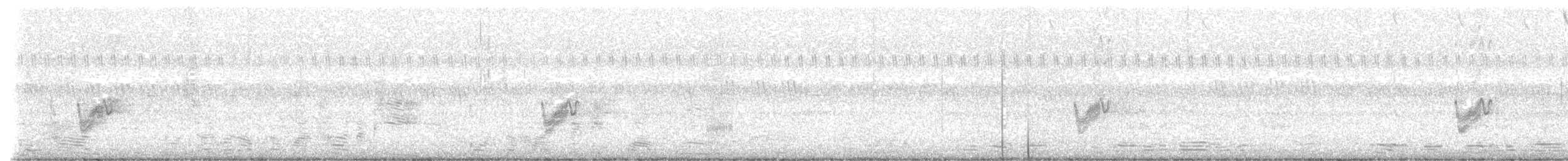 Savanna Nightjar - ML639755464