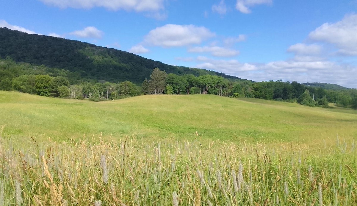 Not specified - Zoë Lunau