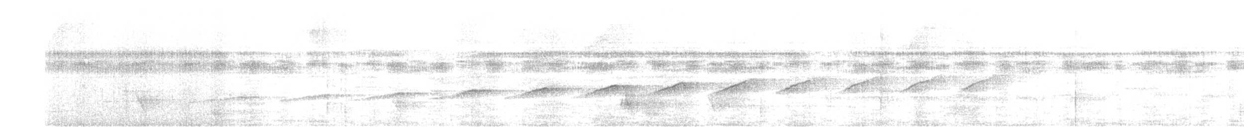 Common Scale-backed Antbird - ML639757493