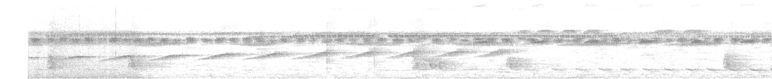 Common Scale-backed Antbird - ML639757508